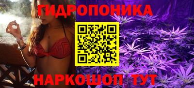 гашик Кандалакша