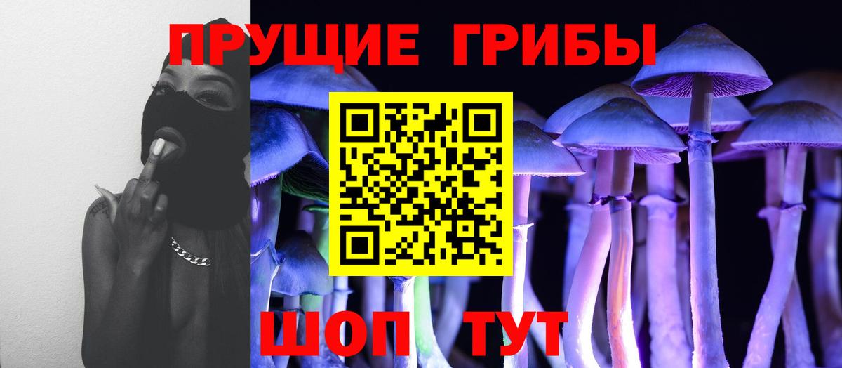 Галлюциногенные грибы Psilocybine cubensis Королёв